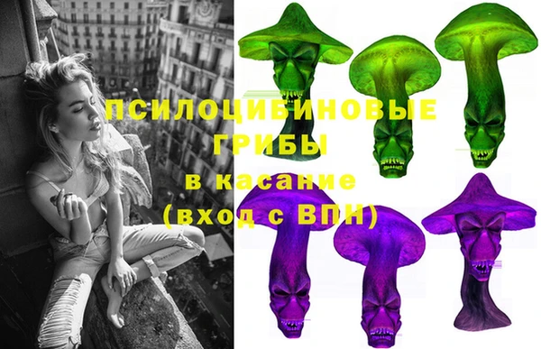 MDMA Новозыбков
