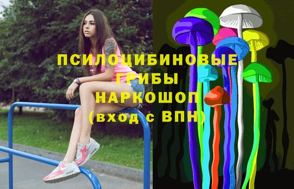 MDMA Новозыбков