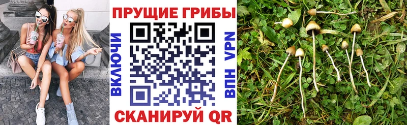 Галлюциногенные грибы Magic Shrooms Купить где Конаково